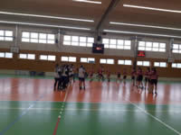Florbal ns bav