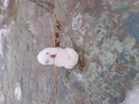 2025-01-nasi-mali-snehulaci-2_s